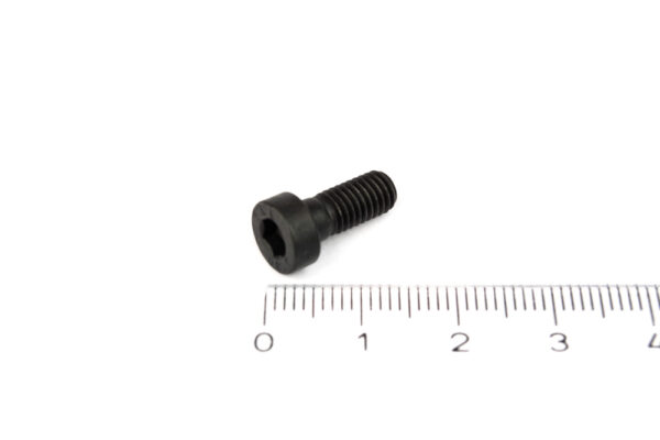 Zylinderschraube DIN 6912 M5x12 (4001 511)